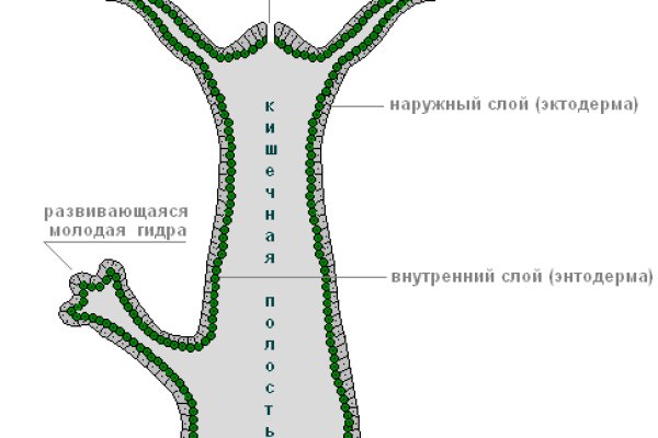 Ссылка на кракен тор kraken2 4aa337