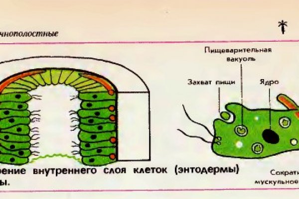 Кракен зарегистрироваться