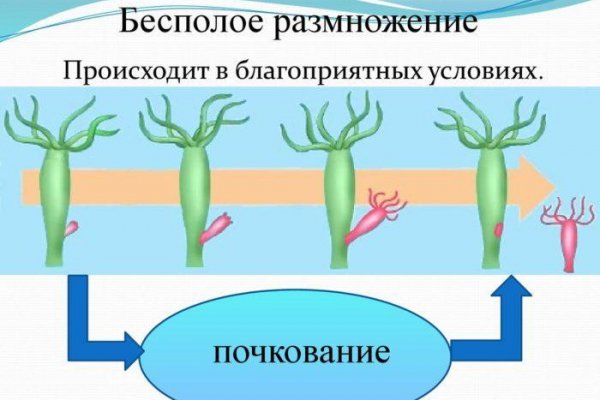 Кракен пользователь не найден что