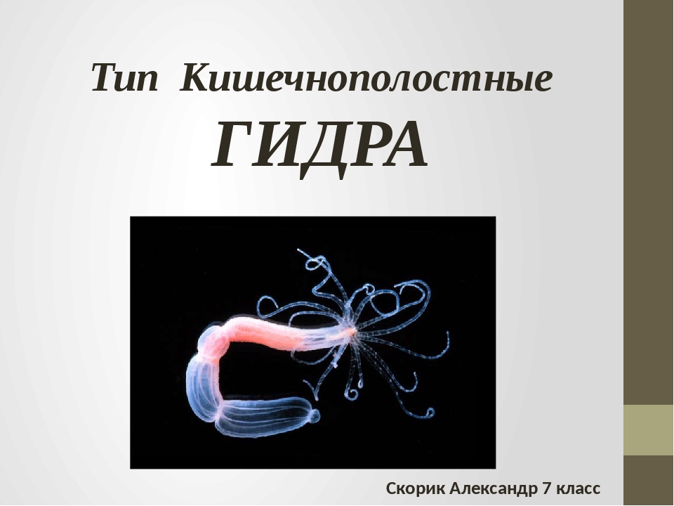 Кракен сайт kr2web in