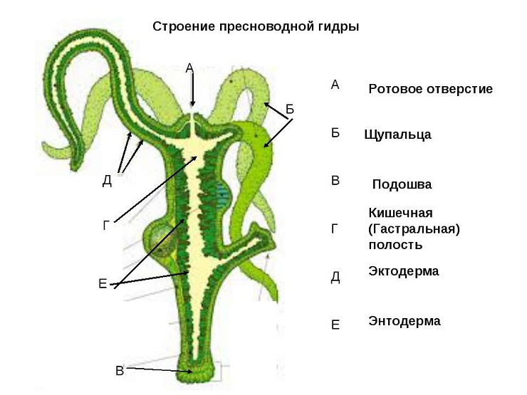 Кракен ориг ссылка